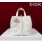 디올 여자가방