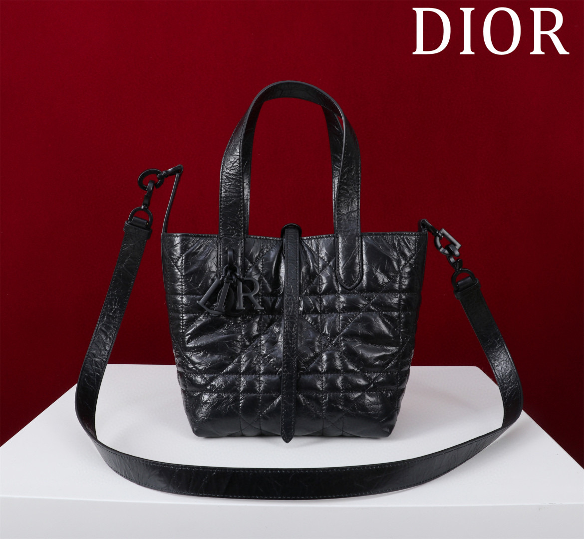 디올 여자가방