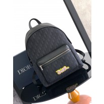 디올 백팩