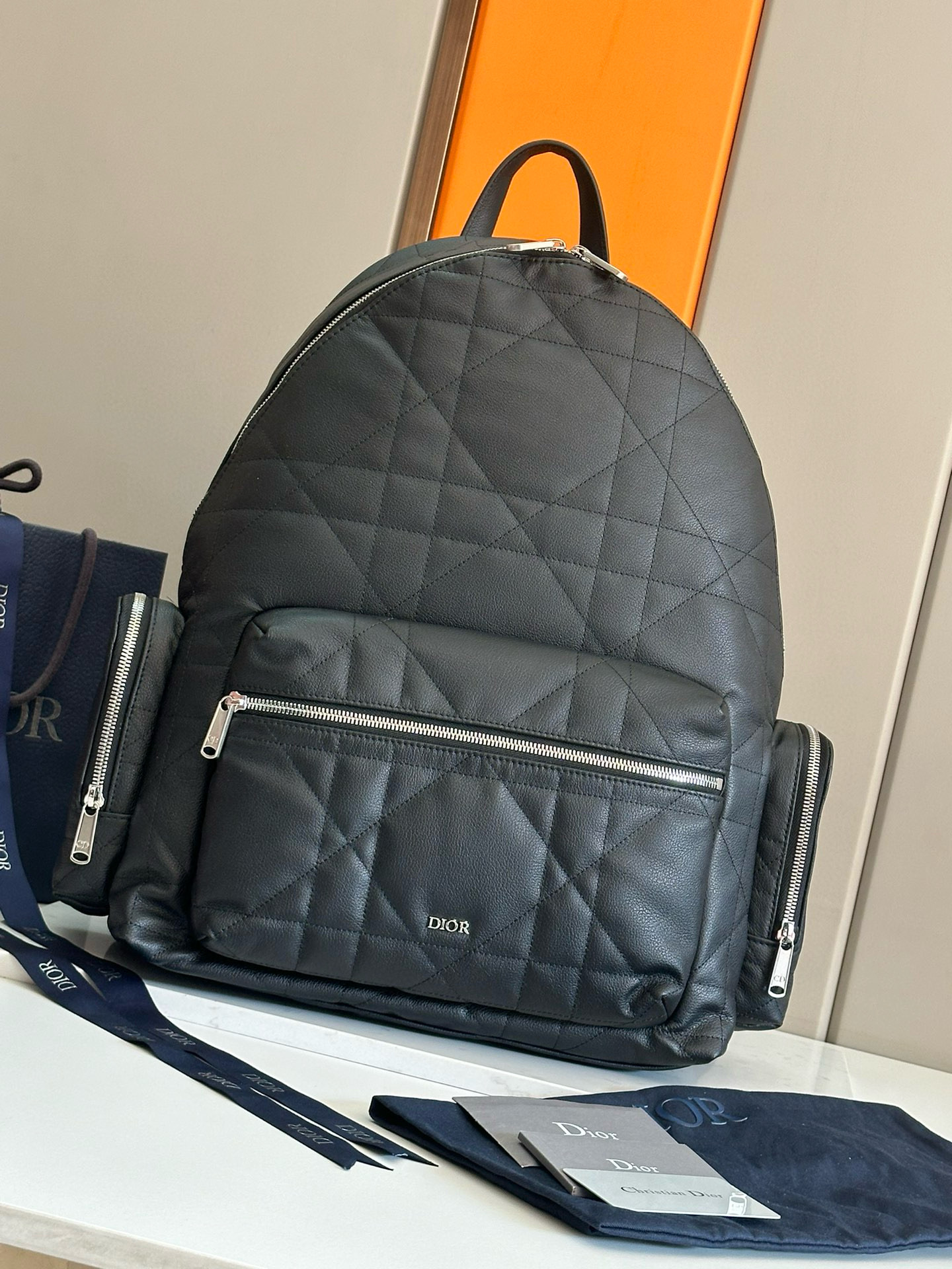 디올 백팩