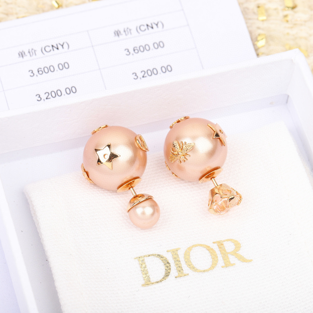 디올 귀걸이